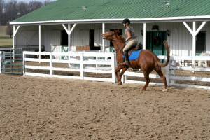 Leg pressure means run and throw your head around!