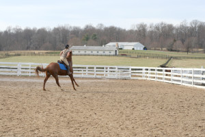 Leg pressure means jump around! 