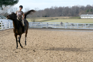 Bronco riding 