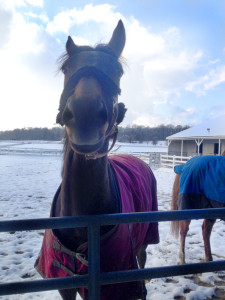 I love her goofy smile! 