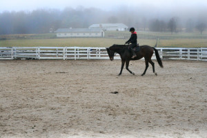 The ring on a foggy morning