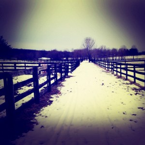 Bridle path behind the farm