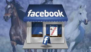 FBStoreHorses