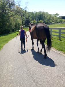 Down the driveway