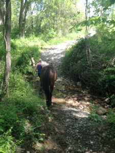 Ditch and creek