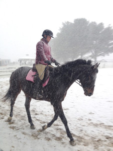 Jezebel and Michelle In the snow!